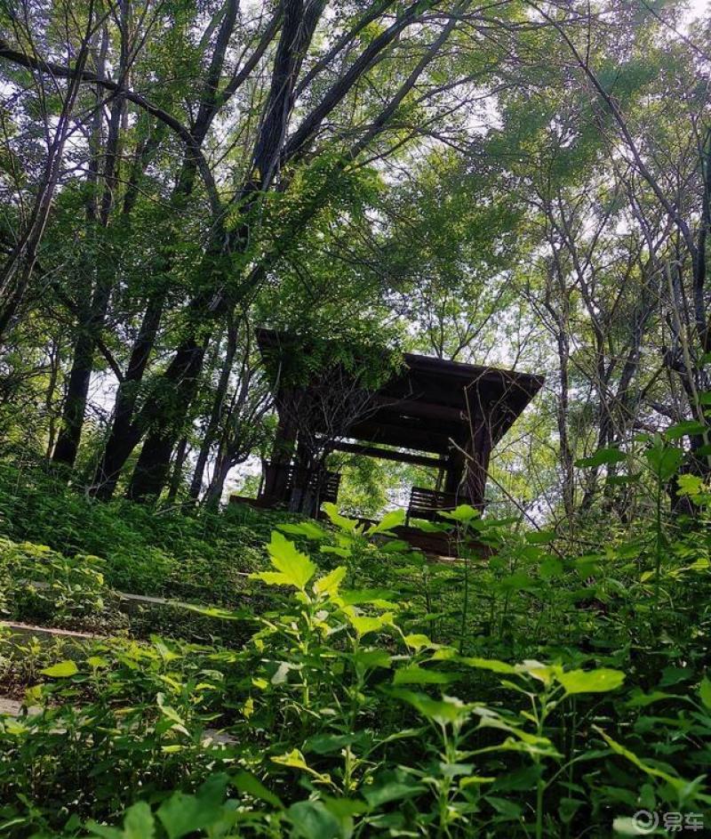 幸福快乐出发——金海湾森林公园