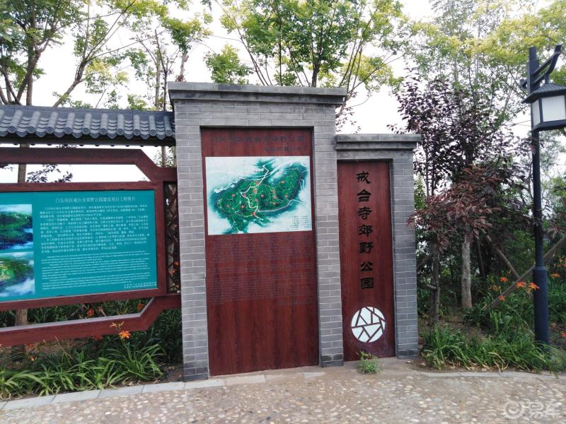 戒臺寺郊野公園洗洗肺