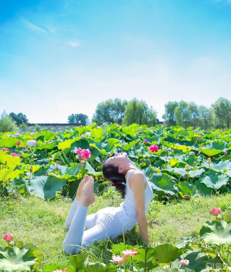 与荷花共瑜伽蓝天白云为伴且听风吟