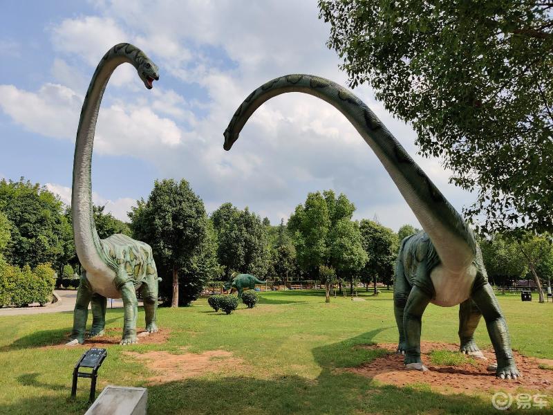 探寻神秘的远古时代驾雷凌游河南西峡恐龙遗址公园