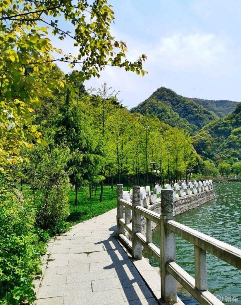 景色秀丽湖边花草树木清新无比