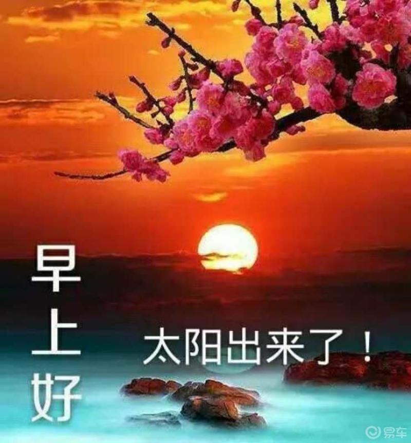 每日打卡!
