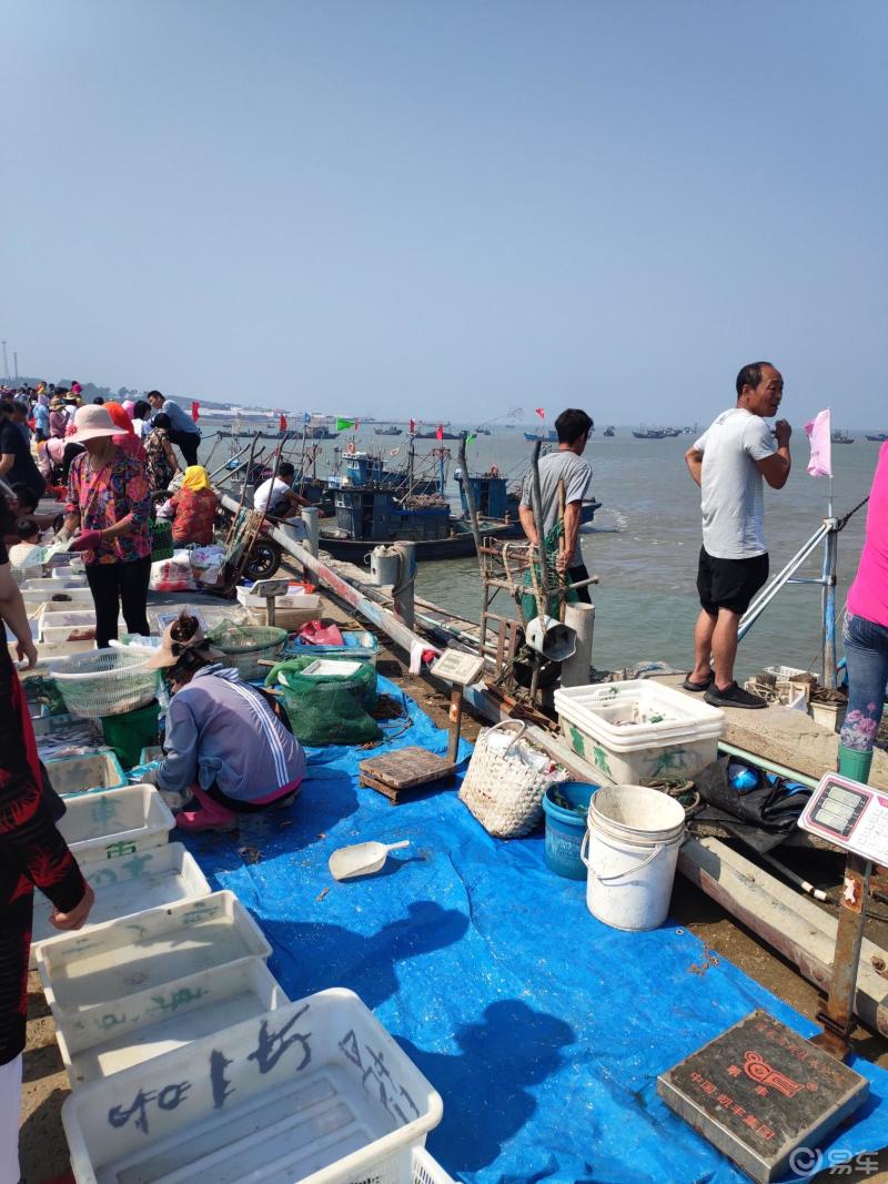 开着汉兰达去赶海田横岛山东头一日游