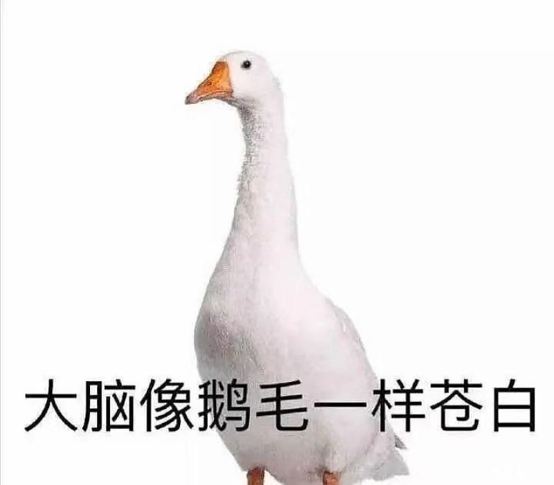 打开窗户开车,突然听到啪嗒啪嗒的声音.心里咯噔一下,有种不好的预