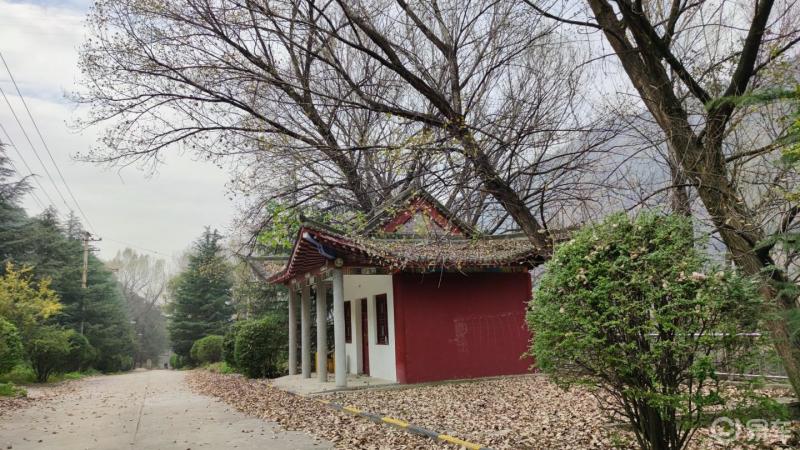 陝西是我家週末走進湯峪湖森林公園