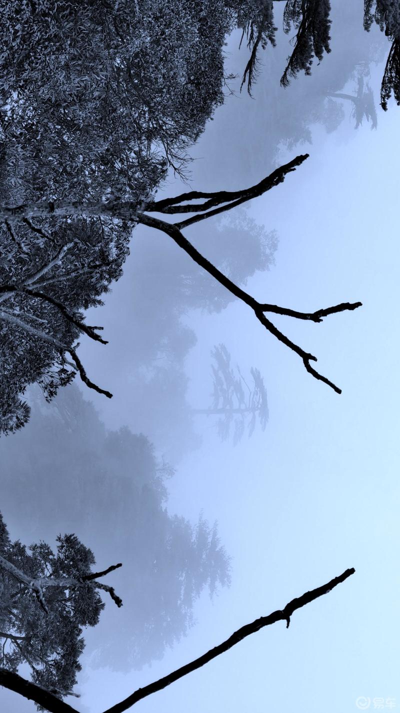 莽山意境大雾笼罩的莽山让松树山峦隐隐约约神神秘秘