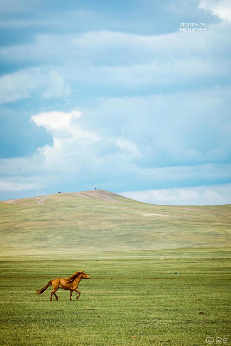 人与自然和谐对话策马奔腾在草原