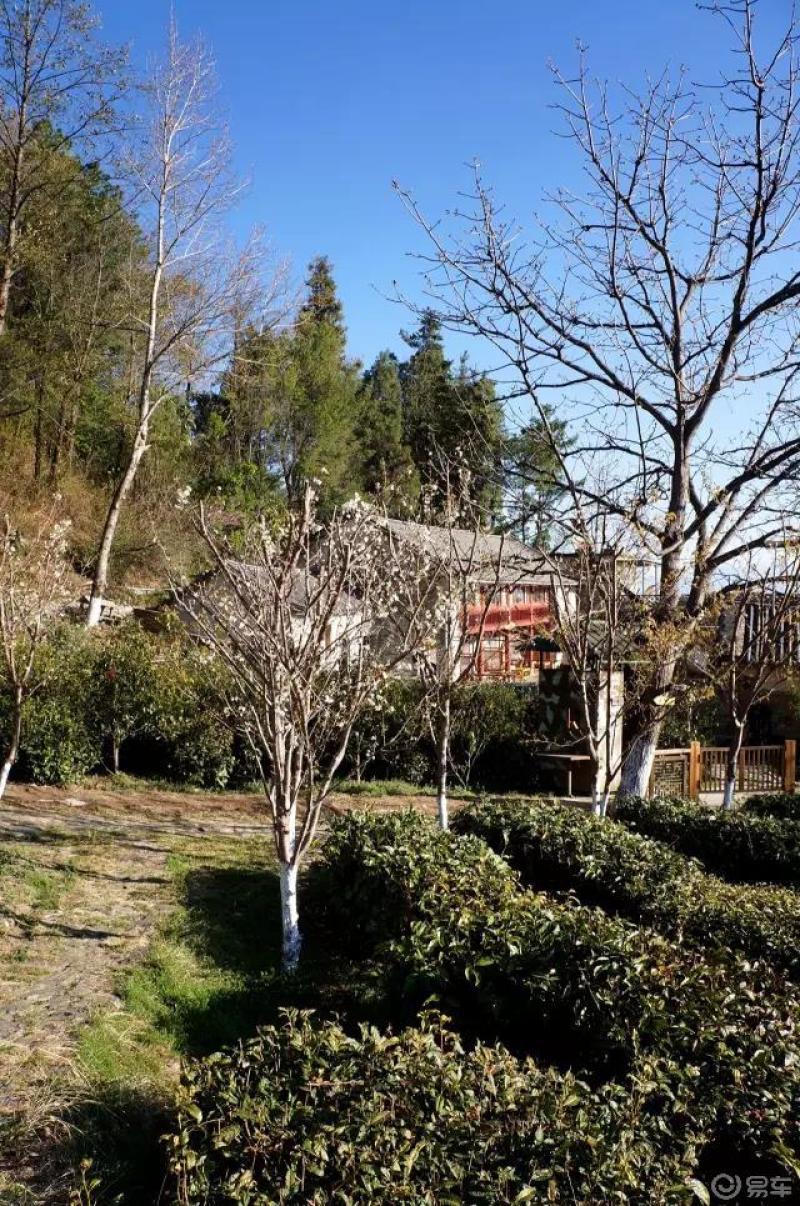 大理秘境——桃溪谷