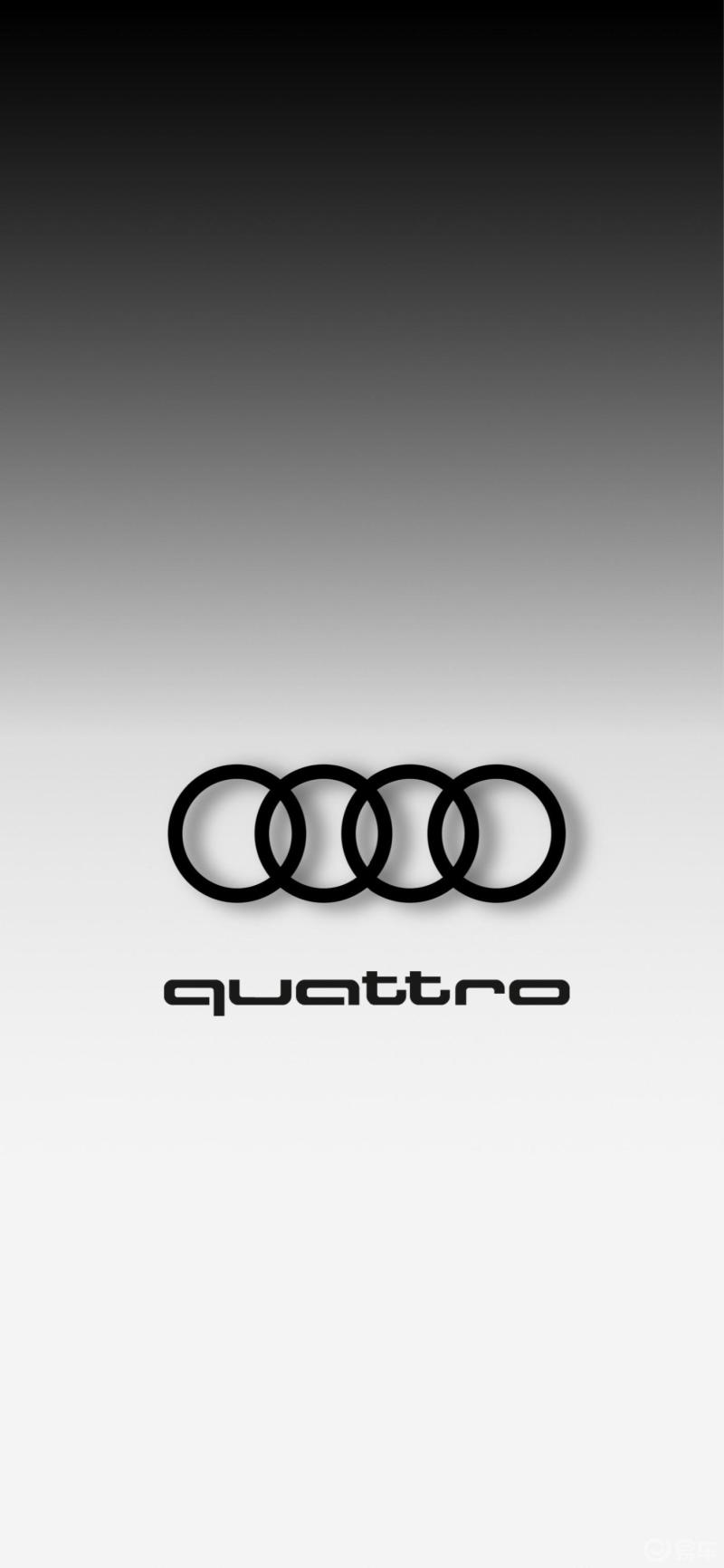 长春奥迪车友回家啦