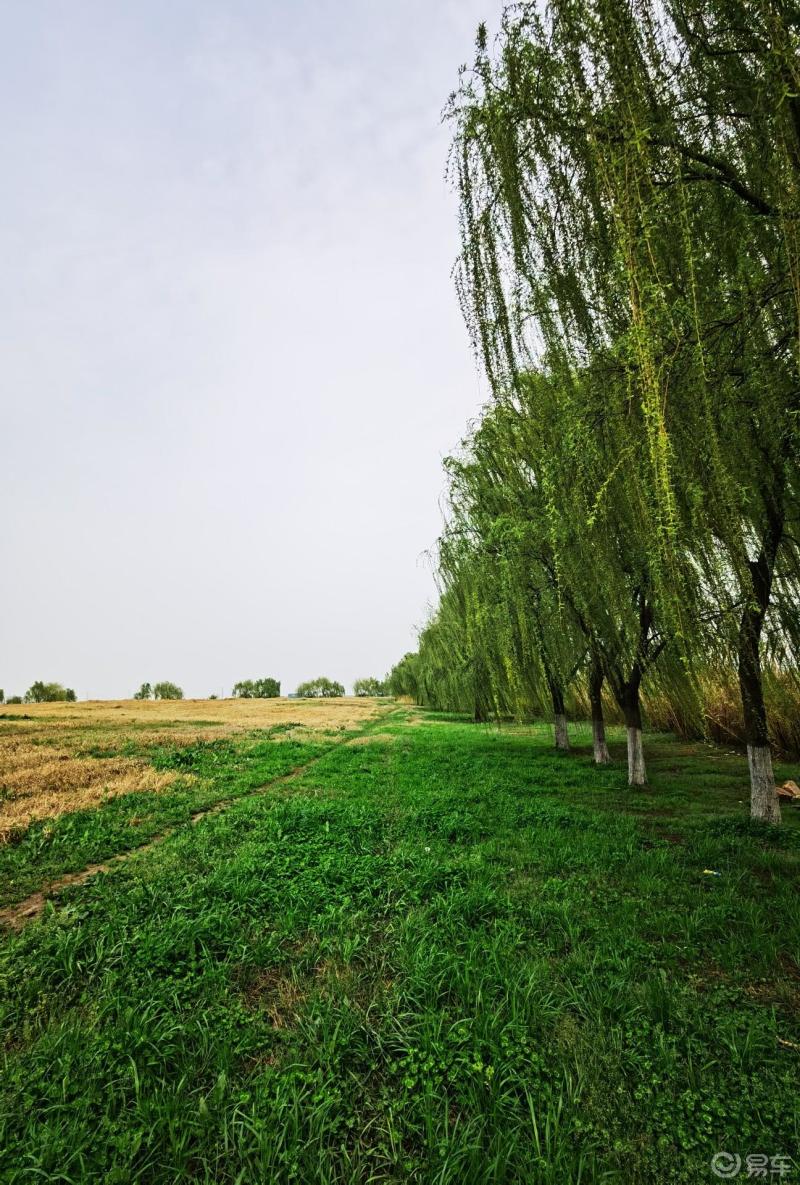 天气还是有点冷的