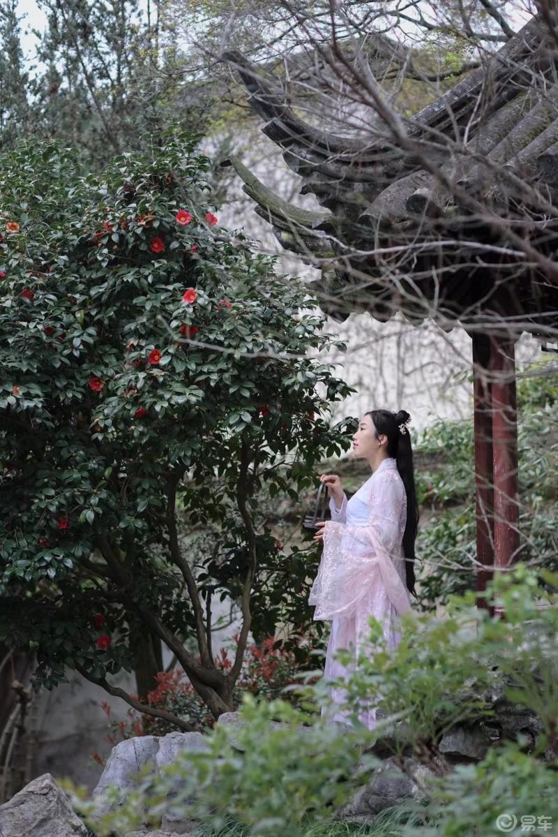 信步闲庭看花开花落愉快