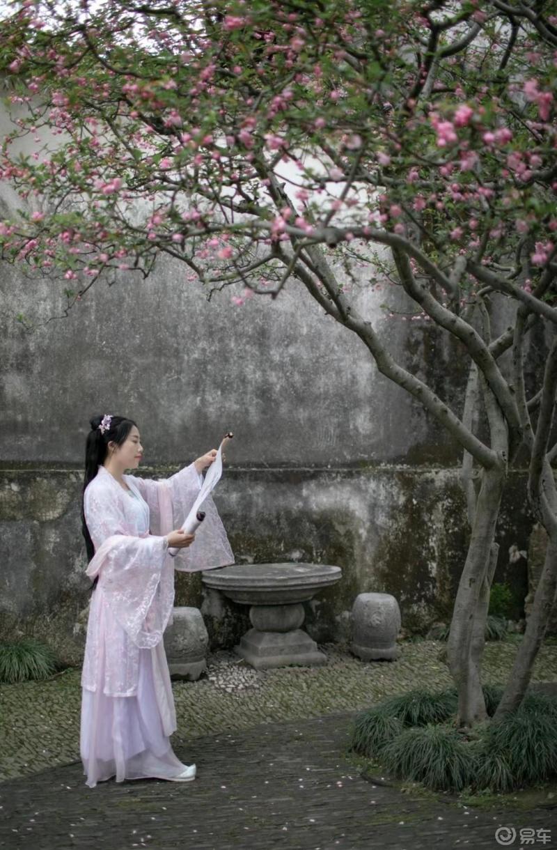 信步闲庭看花开花落愉快