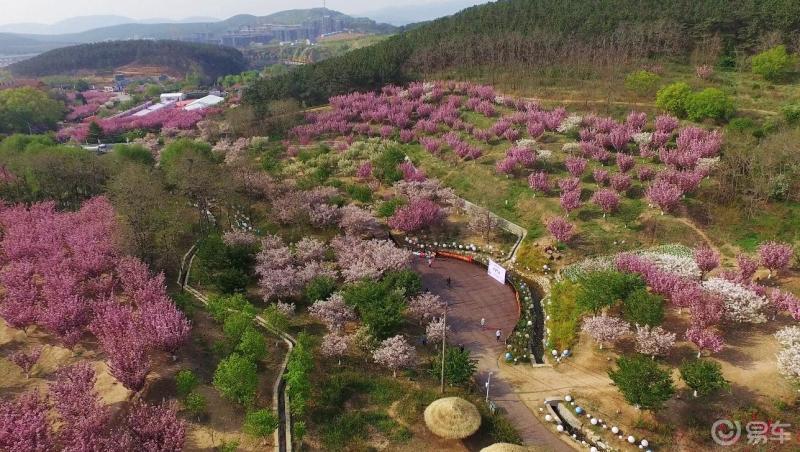 大連旅順203櫻花園2