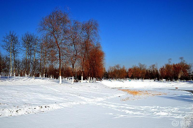 这个冬天沈阳红打卡地
