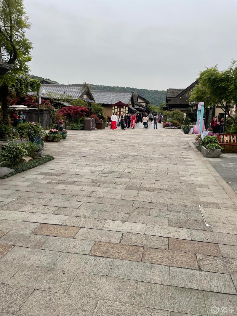 一年之计在于春一花一木禅意小镇拈花湾