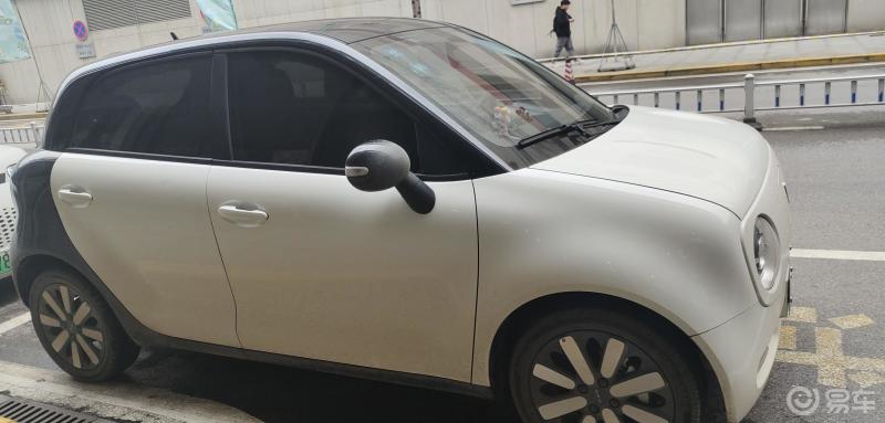 欧拉黑猫黑白色