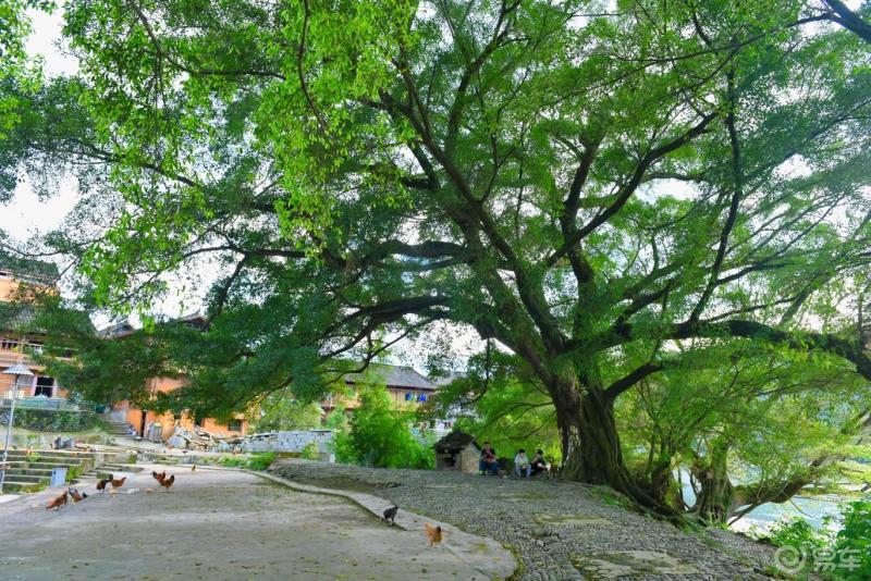 三宝侗寨三宝侗寨位于榕江县车江乡坝区距县城去5公里包括车寨恩荣堡