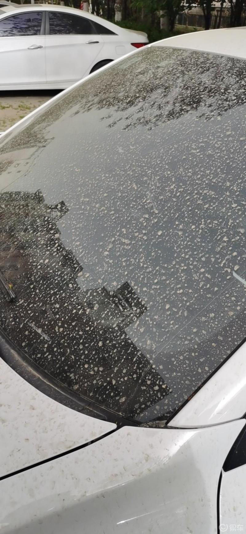 领克03奔你而来果然逢洗车必下雨昨天洗的一晚上就这样了既然下雨了那