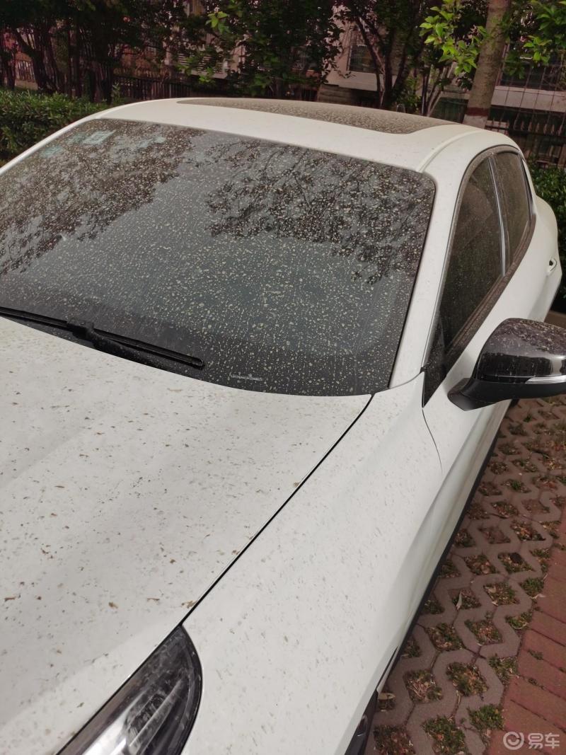 领克03奔你而来果然逢洗车必下雨昨天洗的一晚上就这样了既然下雨了那