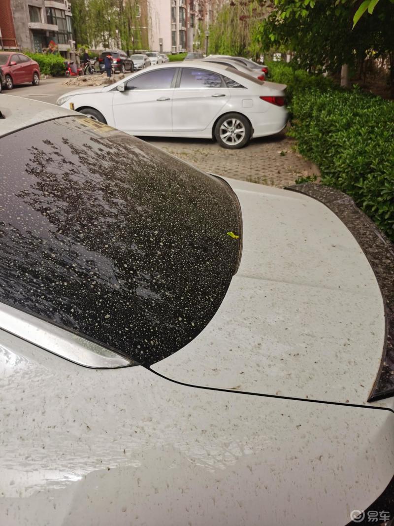 领克03奔你而来果然逢洗车必下雨昨天洗的一晚上就这样了既然下雨了那