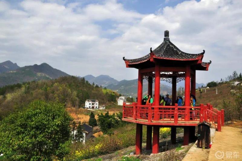 春光无限好,在长阳榔坪遇见醉美木瓜花开!
