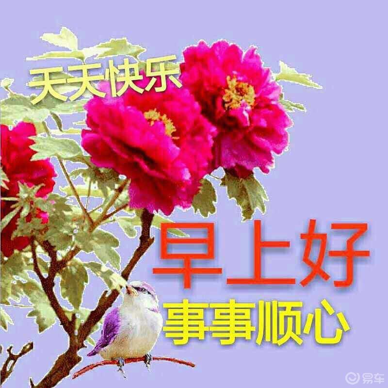 每日一语!