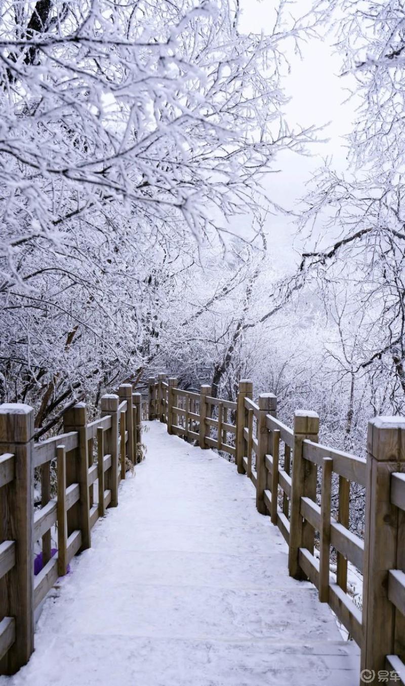 窗含西岭千秋雪的画面图片