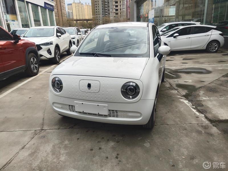 新能源汽车黑猫白猫好猫