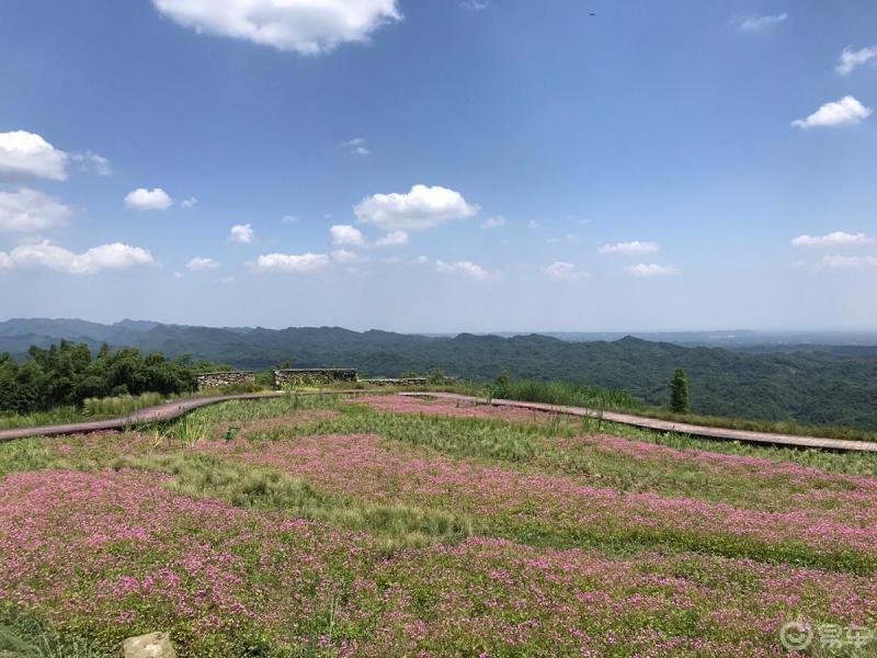 每日一帖生活随拍自驾都江堰市峨山大坪度假农庄呼吸新鲜空气看蓝天