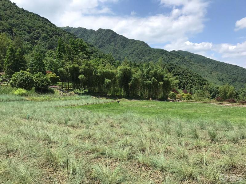 每日一帖生活随拍自驾都江堰市峨山大坪度假农庄呼吸新鲜空气看蓝天