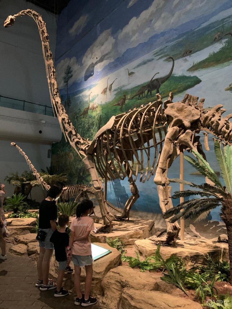 朝阳恐龙博物馆图片