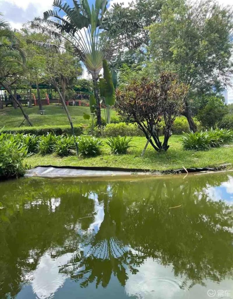 每日一帖#这样天气好热情,看到水就凉快,下去泡泡应该很爽.