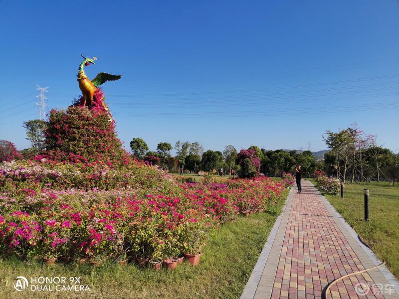 寻找自驾达人cs95石狮花海谷公园