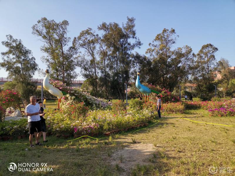 尋找自駕達人cs95石獅花海谷公園