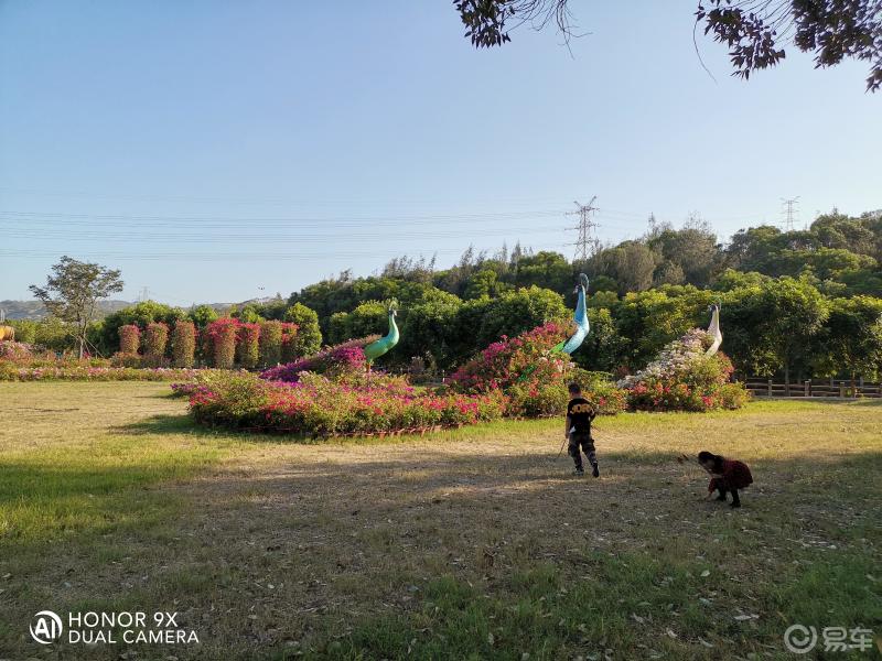 尋找自駕達人cs95石獅花海谷公園