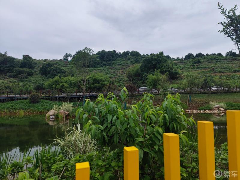 龙泉枇杷沟的一次小约会