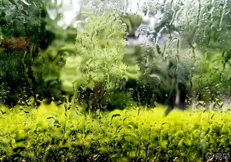 车窗风景清晨起来就开始下雨空气湿润清新我就喜欢这样的下雨天