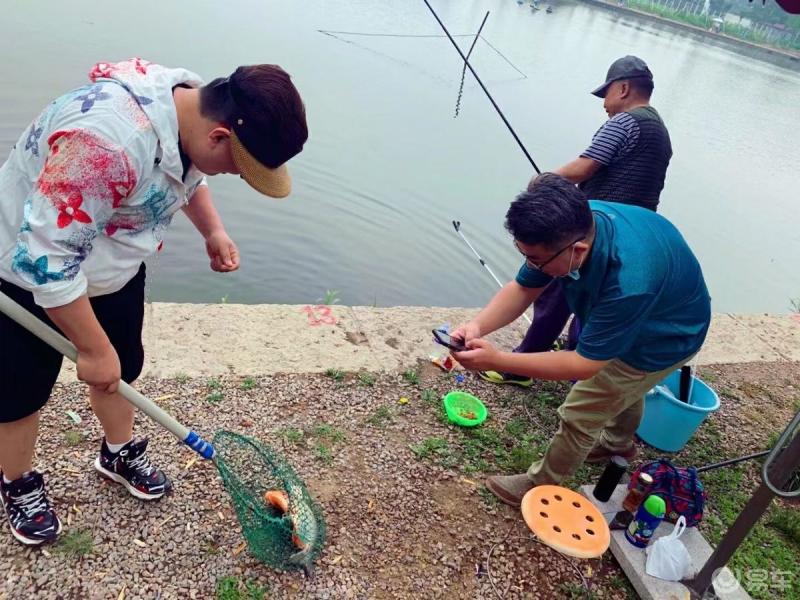 今天在蟹岛特斯拉官方组织的垂钓比赛,车主们钓的热火朝天,鱼大而肥