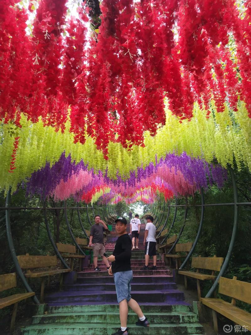 这个爱情长廊挺有特色的愿天下有情人终成眷属