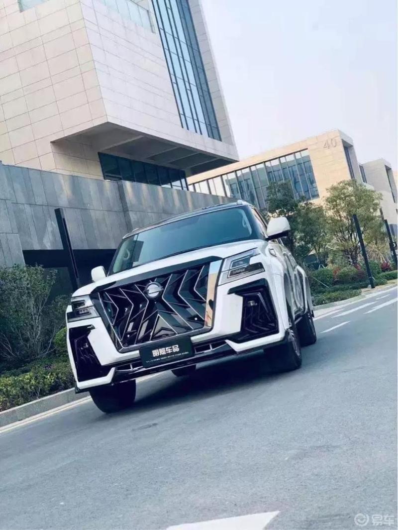 黑白分明鹰击长空途乐黑鹰