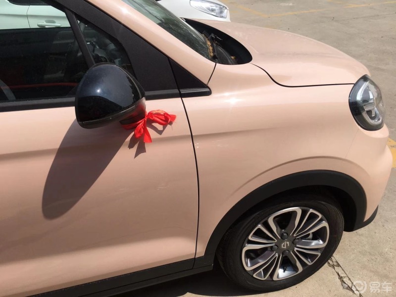 菏泽上下班喜提粉嘟嘟的零跑t03