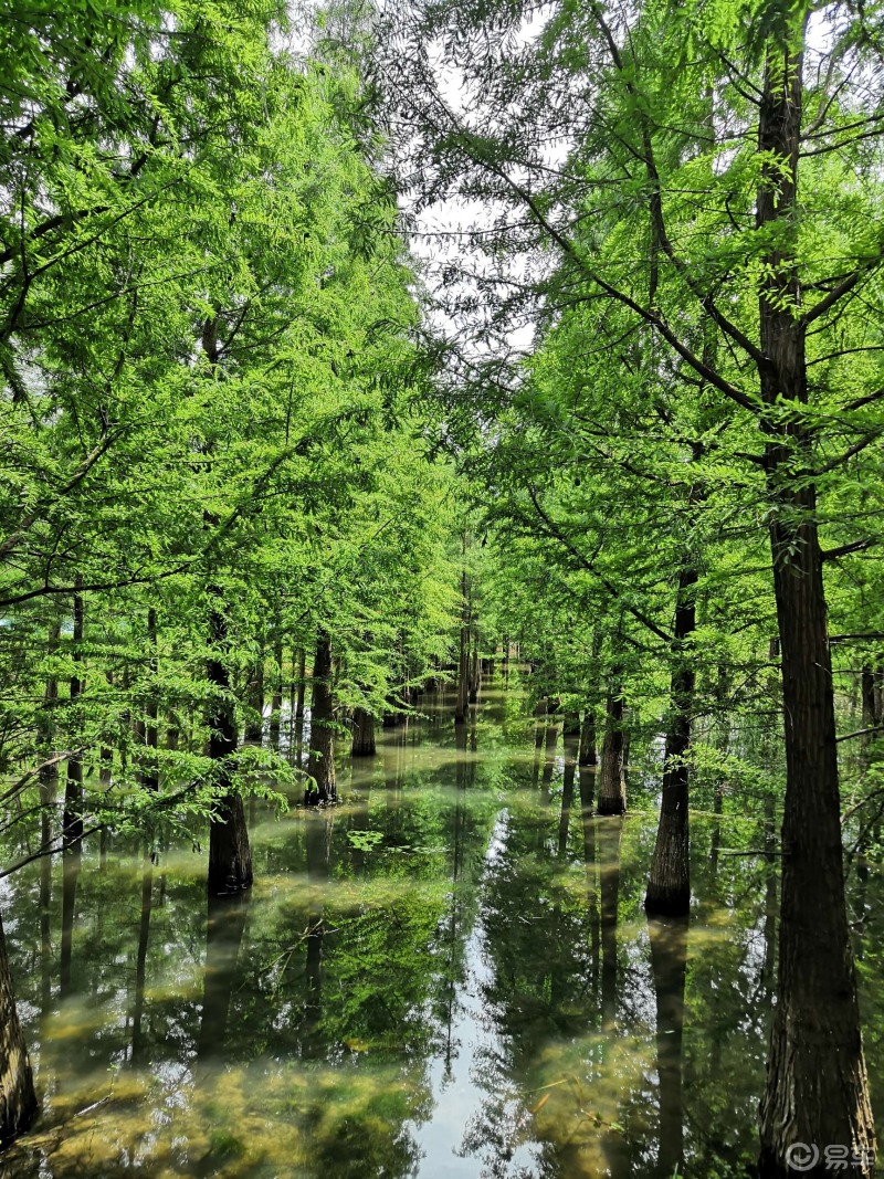 美景雲南得天獨厚的自然環境孕育了眾多美麗的風景來一起感受一下昆明