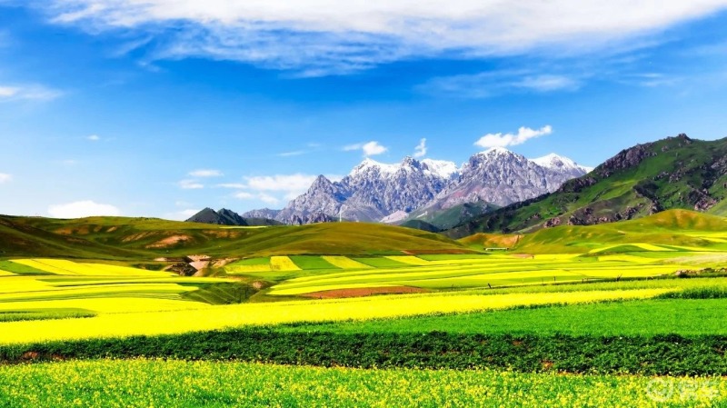 一片沉寂却又生机勃勃