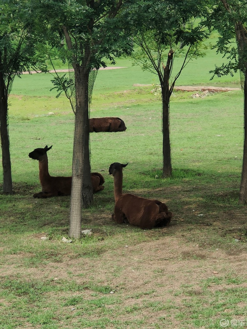 动物园位于唐山市开平区,毗邻