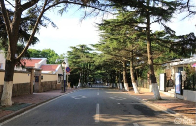 青岛八大关游记