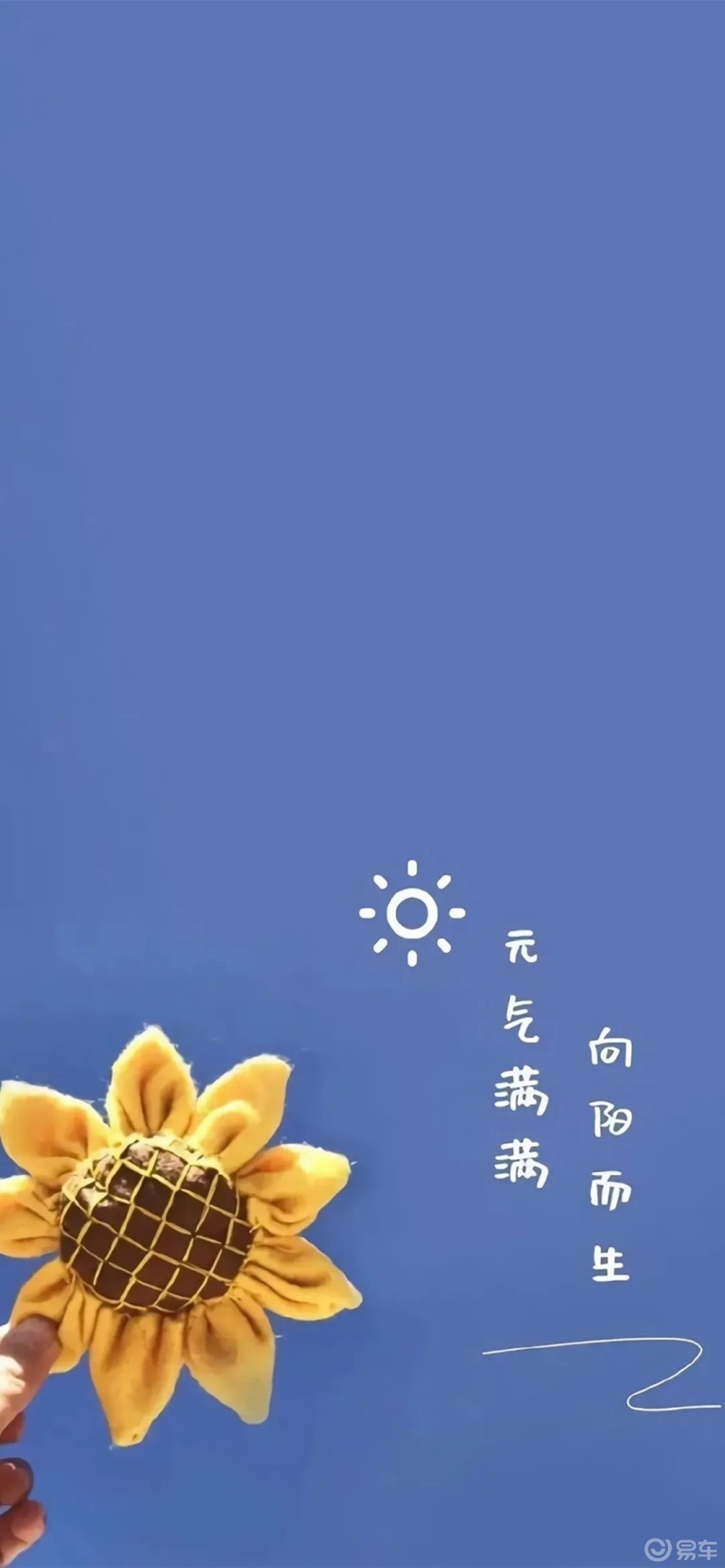 今日美图壁纸