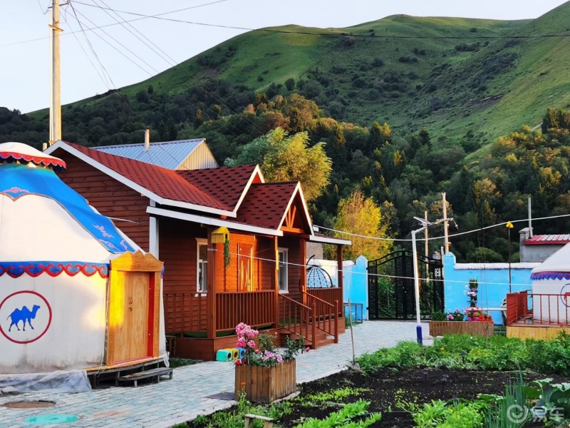 唐布拉前最后一站蜜蜂小镇找到一家别有洞天的民宿耶生活中总有让人