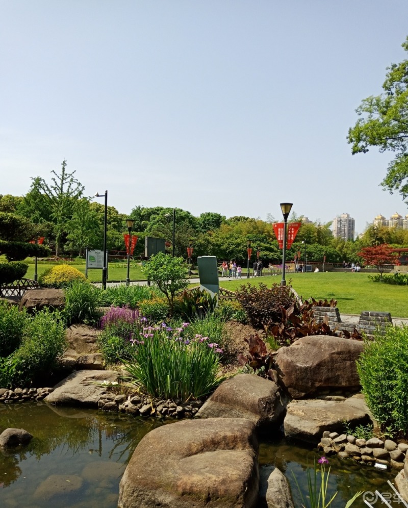 汽车生活#开着01到上海街边公园自驾游啦,景色很漂亮,心情很不错!