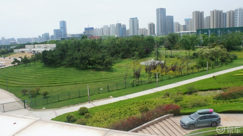 谢湖公园这边的公园又大又美丽