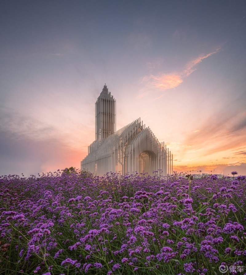 自驾游置身花海的无影教堂太梦幻了